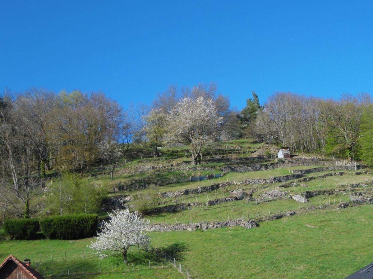 Gite Du Silberwald Charmant Gite Avec Spa - Jacuzzi , Acces Privatif Stosswihr Exterior photo