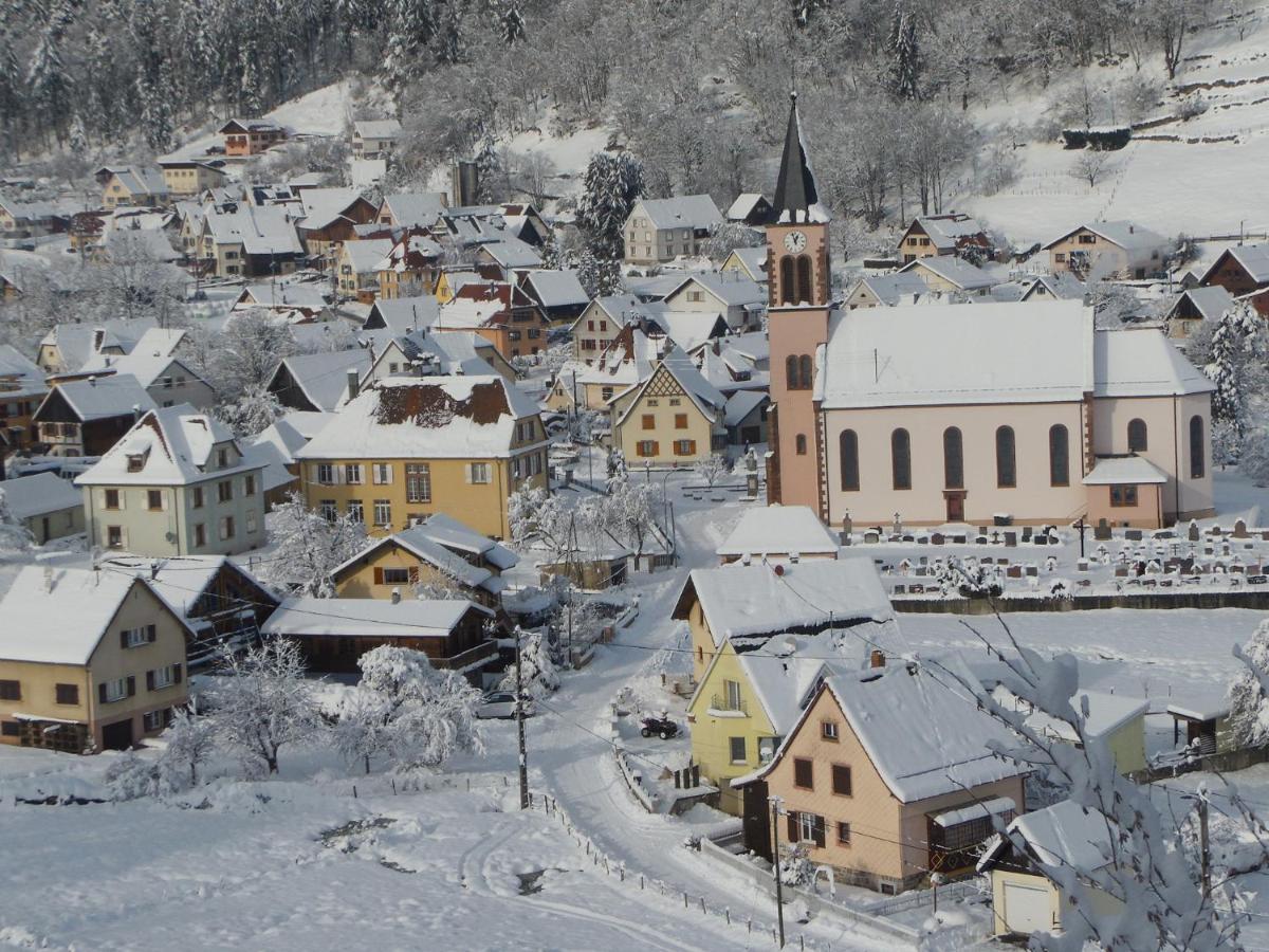 Gite Du Silberwald Charmant Gite Avec Spa - Jacuzzi , Acces Privatif Stosswihr Exterior photo